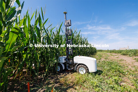 James Schnable’s group is testing Phenobot, a robot that measures leaf angle on corn to see how we