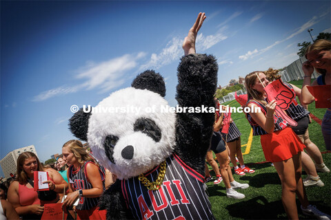 Elsie McCabe, a senior from Omaha, wearing a panda costume as part of her Alpha Omicron Pi group gre