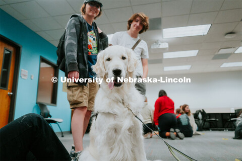 Students pet therapy dog, Carl in the Love Library and Dinsdale Family Learning Commons to de-stress