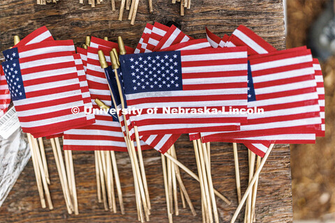 ASUN, the Military and Veteran Success Center and UNL staff placed flags in the greenspace by the Ne