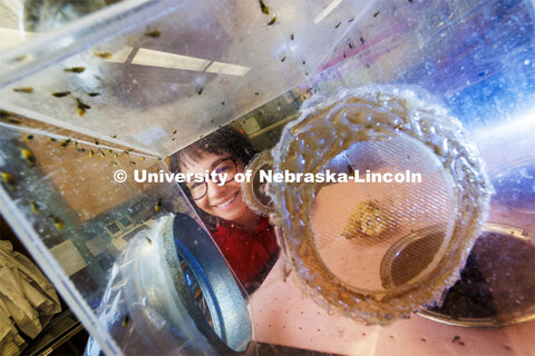 Ana Maria Velez Arango, an Associate Professor in the Entomology Department, and colleagues are doin