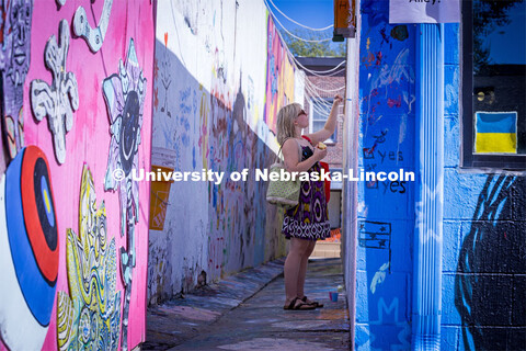 Painting in the art alley at the Lux Street Art Festival. About Lincoln – Lux Street Art Festival.