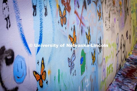 Paintings in the art alley at the Lux Street Art Festival. About Lincoln – Lux Street Art Festival