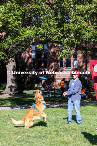 DogFest is a free event held on city campus that is organized by the university’s Canine Cognition