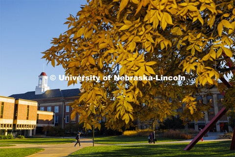 Students crossing campus in front of the Love Library on a fall afternoon. October 27, 2023. 