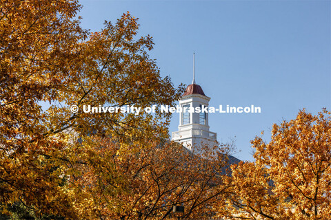 Love Library cupola is framed by fall leaves. Fall on city campus. November 7, 2023. 