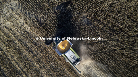 Justin Korver harvests corn in the southeast Lancaster County. November 8, 2023. 