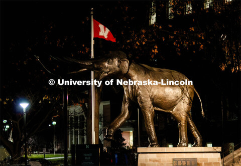 Archie stands in front of Morrill Hall. November 30, 2023. 