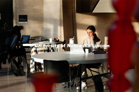 Students studying at the Sheldon Museum. December 6, 2023. 