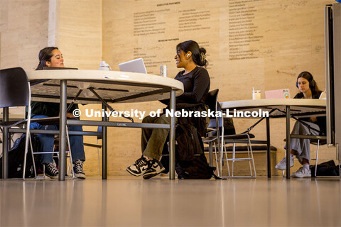 Students studying at the Sheldon Museum. December 06, 2023. 