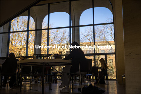 Students studying at the Sheldon Museum. December 06, 2023. 