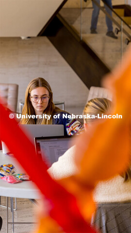 Students studying at the Sheldon Museum. December 06, 2023. 