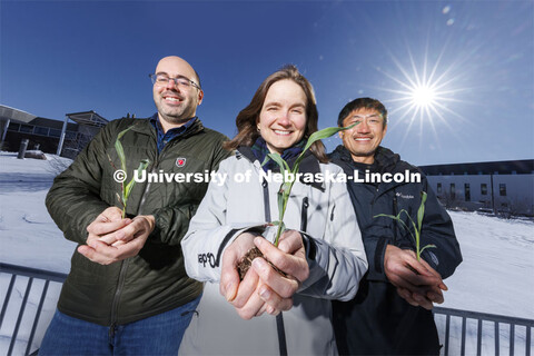 James Schnable (from left), Rebecca Roston and Toshihiro Obata hold young sorghum plants outside of 