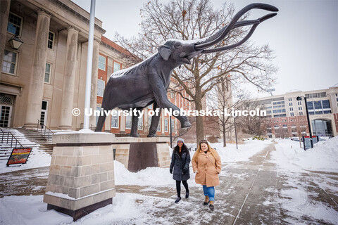 Morrill Hall and state museum for About Lincoln website. January 17, 2024. 