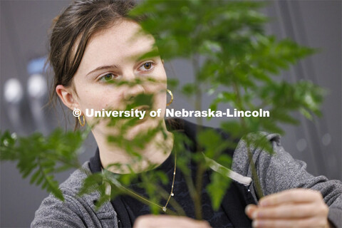 Chloe Waller sorts through her greenery while building her bouquet. Stacy Adams teaches PLAS 261 - F