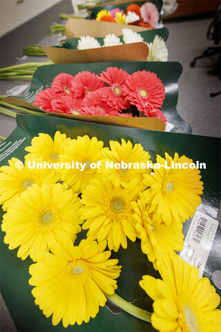 Stacy Adams teaches PLAS 261 - Floral Design I in the Plant Science Building.  February 21, 2024. 