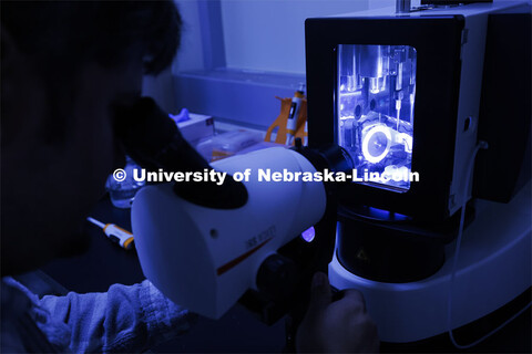 Eduardo Romero, Research Assistant Professor, views a sample before being placed in the Cryo-Transmi