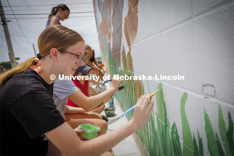 Middle School student Morgan Nielsen as community members helped paint Tuesday. ARTS 398 - Special T