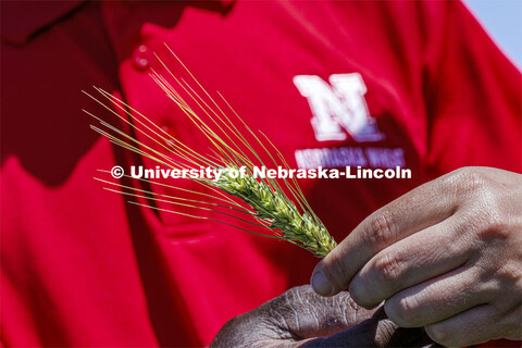 Nebraska producers had requested a new Clearfield variety, and the university responded after extens