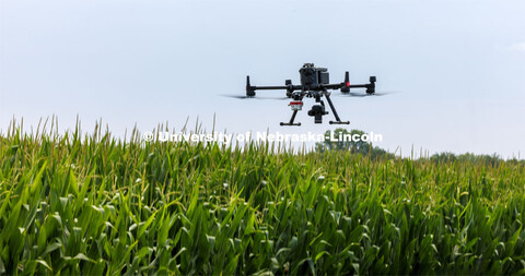 Biquan Zhao, Post-Doc Research Associate in Animal Science, flies a drone over the corn fields north