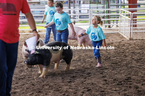 Ivy Mentink, 5, coaxes her pig around the ring during the Clover Kids competition. 4-H Polk County F