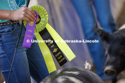 Halee Peterson holds her Reserve Grand Champion ribbon as she and her pig leave the show arena. 4-H 