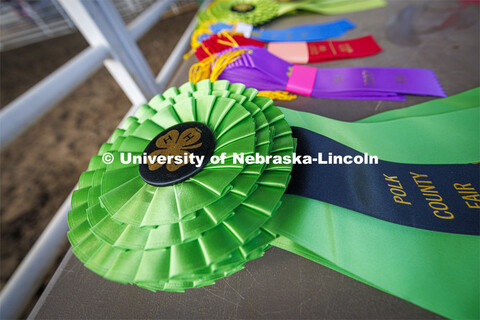 4-H Polk County Fair in Osceola, Nebraska. July 19, 2024.  