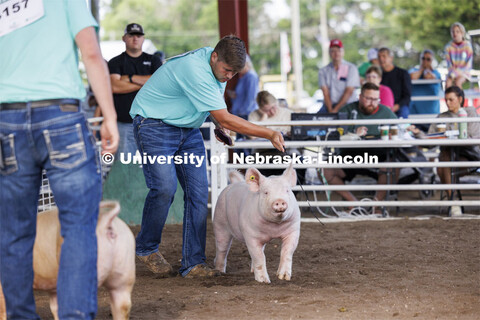 Collin Vrbka coaxes his pig around the ring. 4-H Polk County Fair in Osceola, Nebraska. July 19, 202