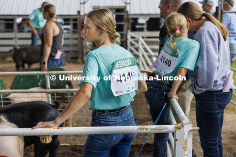 Halee Peterson of Osceola, Nebraska, waits with her pig for the final judging round. 4-H Polk County