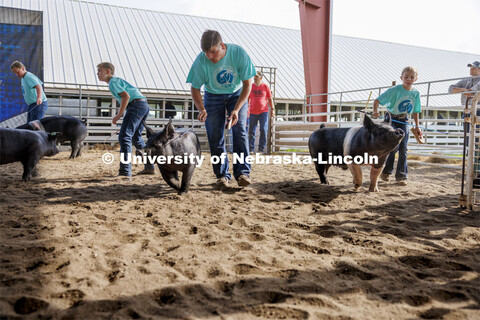 Collin Vrbka coaxes his pig around the ring. 4-H Polk County Fair in Osceola, Nebraska. July 19, 202