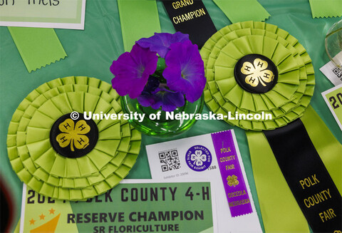 4-H Polk County Fair in Osceola, Nebraska. July 19, 2024.  