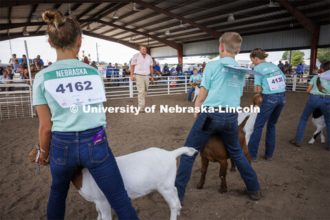 Goat judge John Alfs eyes the entries in the Meat Goat Junior Showmanship competition. 4-H Polk Coun