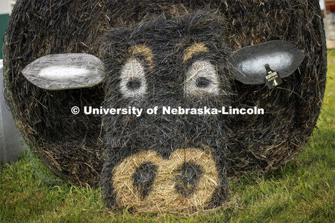 Hay bales decorated as an Angus cow. 4-H Polk County Fair in Osceola, Nebraska. July 19, 2024. 