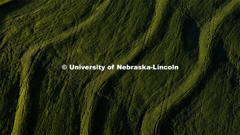 Aerial views of soybean and corn fields in southeast Lancaster County. August 2, 2024. 