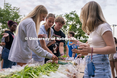 Freshmen Erika Lattimore (left) and Molly Ruff (second from left) grab pieces of bamboo during the S