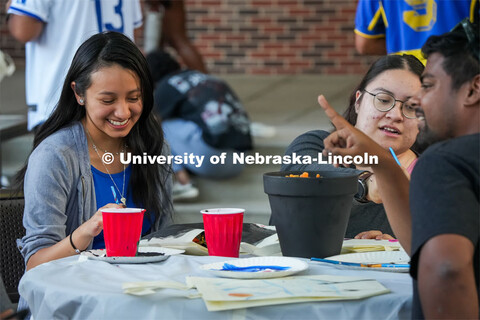 Fiesta on the green at the Nebraska Union Plaza. Fiesta on the Green is an annual Latino culture and
