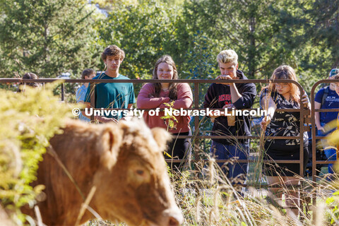 David Wedin, Director of the Grassland Studies Center and Professor in the School of Natural Resourc