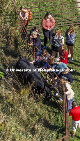 David Wedin, Director of the Grassland Studies Center and Professor in the School of Natural Resourc