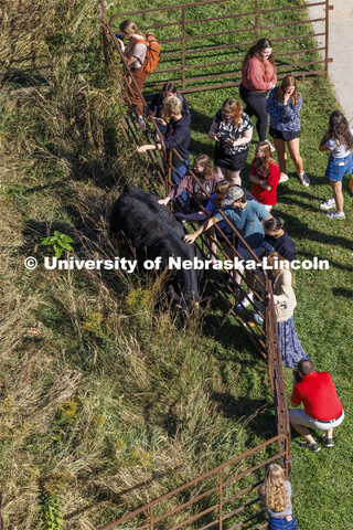 David Wedin, Director of the Grassland Studies Center and Professor in the School of Natural Resourc