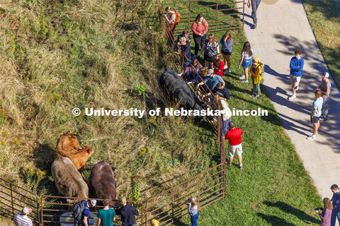 David Wedin, Director of the Grassland Studies Center and Professor in the School of Natural Resourc