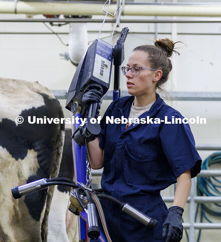 Breanna Gilmore carries the portable milking equipment to the next dairy cow being milked early Thur