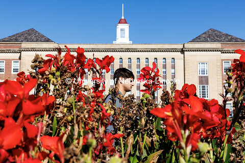 A student walks on the R Street sidewalk past Love Library. Fall on City Campus. October 23, 2024. 