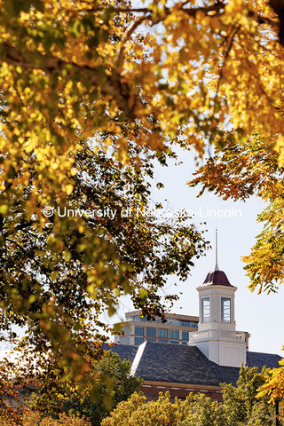 Fall colors surround the Love Library cupola. Fall on City Campus. October 23, 2024. 