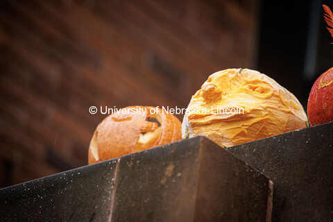 Close up of Richard’s Hall pumpkin display. Fall on City Campus. October 30, 2024. 