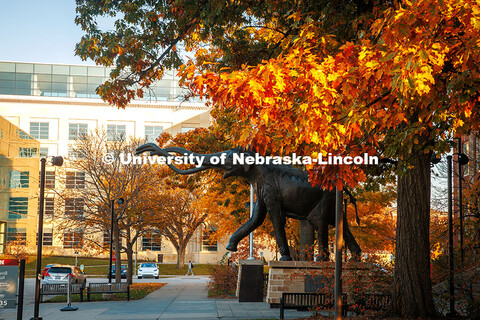 Fall Scenery on City Campus. The Archie Statue and the College of Business. November 8, 2024. 