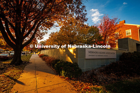 Fall Scenery on City Campus. Nebraska Alumni Association. November 8, 2024. 