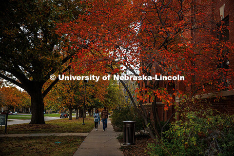 Fall Scenery on East Campus. The Agricultural Communications Building. November 8, 2024. 