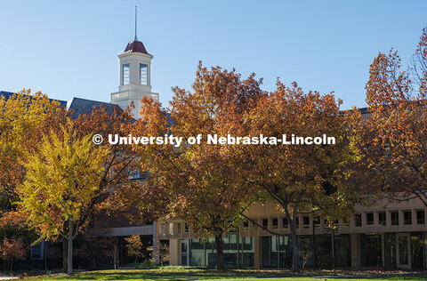 Trees displaying their fall colors surround Love Library. Fall on City Campus. November 12, 2024. 