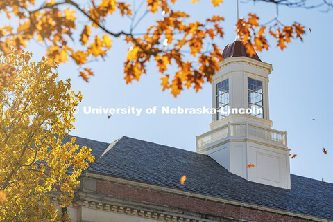 Trees displaying their fall colors frame the cupola of Love Library. November 12, 2024. 