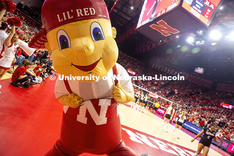 Lil’ Red at the UNL Volleyball game. Nebraska vs. Minnesota volleyball game. November 14, 2024. 